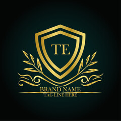 TE luxury letter logo template in gold color. Elegant gold shield icon. Modern vector Royal premium logo template vector