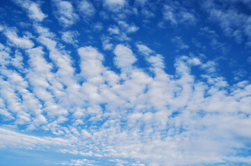 Obraz premium blue sky with white cirrus-cumulus clouds on a winter day