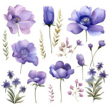 Watercolor violet flowers clipart 