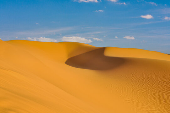 Sand dunes in the Sahara desert