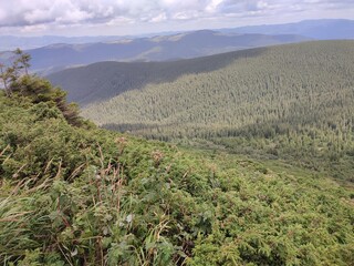 A view of the mountains from a height in the warm season