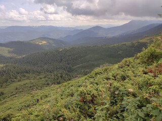 A view of the mountains from a height in the warm season
