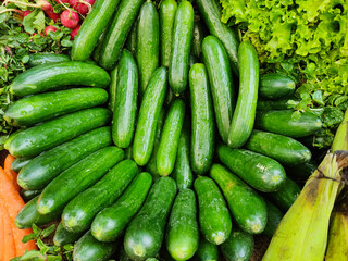 Stall of cucumber on market place. Cucumber stall. Green cucumber. Healthy eating food.