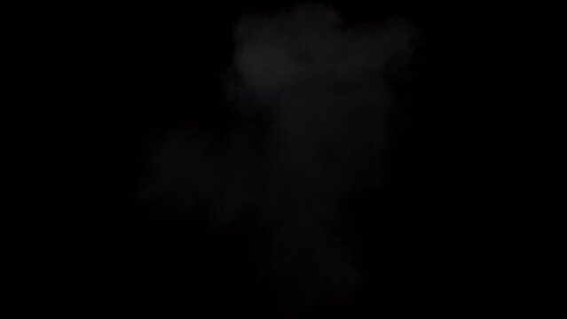 This compelling video footage captures the dynamic discharge of a cannon, projecting an intense horizontal burst of flames. Ideal for impactful video projects. VFX with alpha channel.