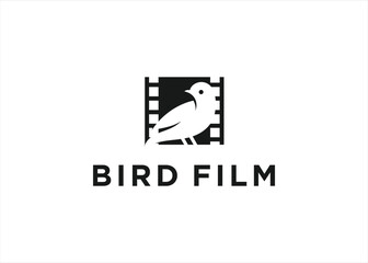 Film movie bird logo design vector illustration