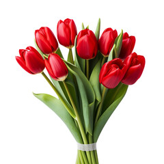 flower - Red Tulip Red flowers meaning Declaration of love.