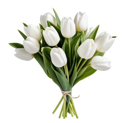 White tulips symbolize new beginnings, associated with tranquility, beauty, and spirituality.