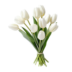 Tulips are a symbol of love and romance, signifying perfect love, abundance, passion, honesty, forgiveness, new beginnings, and complete and abundant love