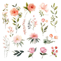 Watercolor Flower wedding Clipart Collection on a transparent background 