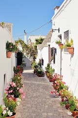small houses with a stone roof, specific trulli houses, the town of Alberobello, a street between trulli with flowers, the Italian town of Alberobello