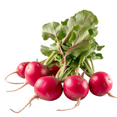 Fresh Beetroot  isolated on transparent background Remove png