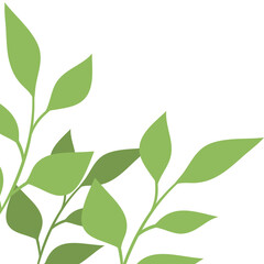 Tropical Leaves Corner