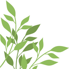 Tropical Leaves Corner