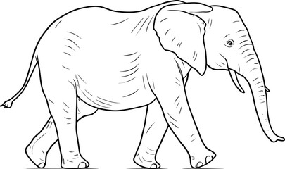 Vector isolated one single walking big elephant side view colorless black and white contour line easy drawing. AI generated illustration.