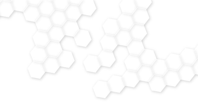Abstract White Hexagonal Background. Luxury White Pattern. Vector Illustration. Modern simple style hexagonal graphic concept. Futuristic abstract honeycomb mosaic white background.