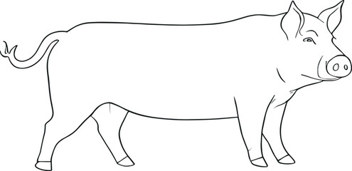Pig vector illustration in graphics, hand drawn illustration. Farming,livestock. AI generated illustration.