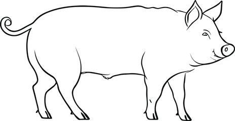 Pig vector illustration in graphics, hand drawn illustration. Farming,livestock. AI generated illustration.