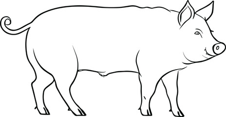 Pig vector illustration in graphics, hand drawn illustration. Farming,livestock. AI generated illustration.