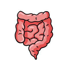 Intestine internal organ. Human pink digestive tract. Medical icon. Illustration isolated on white