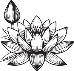 Cute flower coloring pages, waterlily drawing, waterlily line
drawing, Hand drawn botanical spring elements bouquet of lotus line art coloring page, easy flower drawing. waterlily flower art