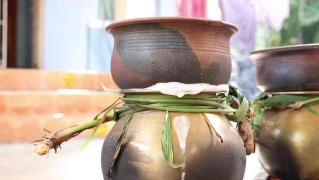 celebrating Traditional Thai Pongal festival to sun god with pot, lamp,wood fire stove, fruits and sugarcane. Making Sakkarai or sugar pongal and ven pongal in sand stove in traditional method