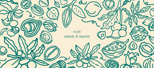 Isolated vector set of nuts. Nuts and seeds collection. Hand drawn objects. Peanuts, cashews, walnuts, hazelnuts, cocoa, almonds, chestnut, pine nut, nutmeg, peanut, macadamia, coconut, pistachios. - obrazy, fototapety, plakaty