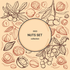 Isolated vector set of nuts. Nuts and seeds collection. Hand drawn objects. Peanuts, cashews, walnuts, hazelnuts, cocoa, almonds, chestnut, pine nut, nutmeg, peanut, macadamia, coconut, pistachios.
