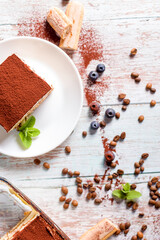 Tiramisu dessert. Delicious Italian dessert on a white plate with a sprig of mint.