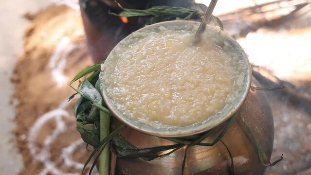 celebrating Traditional Thai Pongal festival to sun god with pot, lamp,wood fire stove, fruits and sugarcane. Making Sakkarai or sugar pongal and ven pongal in sand stove in traditional method
