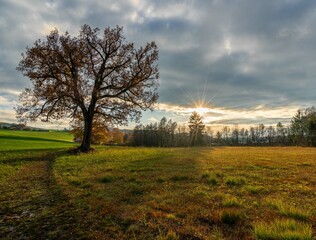 Oberösterreich Mattsee Sonnenuntergang Herbst Wald Bäume Blätter Herbstlich Wolken Drama Dramatischer Himmel Sonnenstern 
