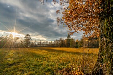 Oberösterreich Mattsee Sonnenuntergang Herbst Wald Bäume Blätter Herbstlich Wolken Drama...