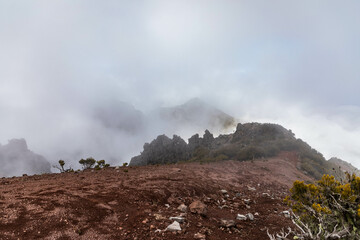 Madeira's Bergwelt