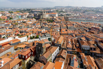 Panoramic views of Cathedral of Porto and the city from the tower of Clerigos Church, in Portugal.  - obrazy, fototapety, plakaty