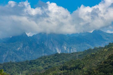 Naklejka premium Beautiful Forest Landscape of Alishan National Forest Area in Chiyahi, Taiwan