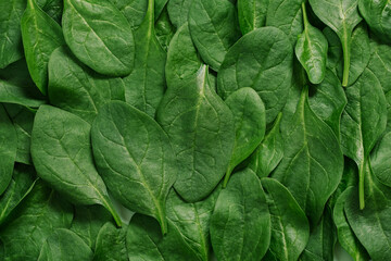 Top View of greenery spinach leaves 