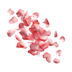 Flying rose petals and pink petals aesthetically for Valentine’s Day, Isolated on Transparent Background, PNG
