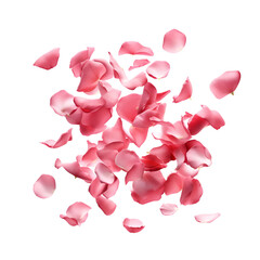 Valentine’s Day with aesthetically flying rose and pink petals, Isolated on Transparent Background, PNG