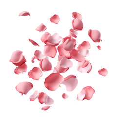 Rose and pink petals flying aesthetically for Valentine’s Day, Isolated on Transparent Background, PNG