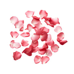 Rose petals for Valentine’s Day, aesthetically flying pink petals, Isolated on Transparent Background, PNG
