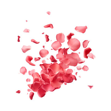 For Valentine’s Day, aesthetically flying rose petals and pink petals, Isolated on Transparent Background, PNG