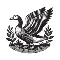 Domestic goose. Vector black engraving icon, illustration. Vintage retro style logo