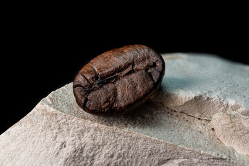 Obraz premium Ziarno kawy (Coffee bean)