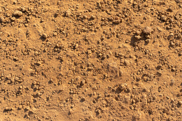 The lateritic soil represent the surface background and texture concept related idea. Country roads filled with Laterite soil. red soil