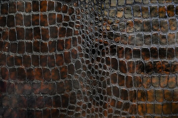 background texture of brown crocodile skin. Contrasting image of artificial crocodile skin.