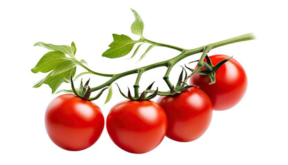 Fresh delicious tomatoes on branch, cut out - obrazy, fototapety, plakaty