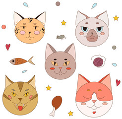Five cat faces of different breeds. Cute cats of different breeds. Cat food and toys.