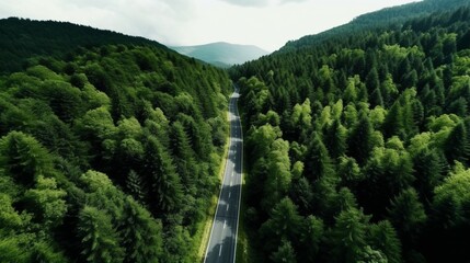A birds eye view of the road in the forest (1) Ai Generative