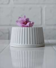 pink violet flower on a white ceramic stand