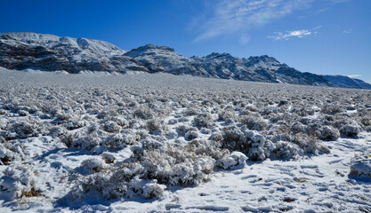 Snow in the mountains, Snow-covered mountain pass, desert plants under the snow in summer