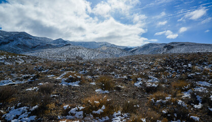 Snow in the mountains, Snow-covered mountain pass, desert plants under the snow in summer